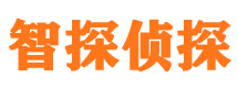 琼山市婚姻调查